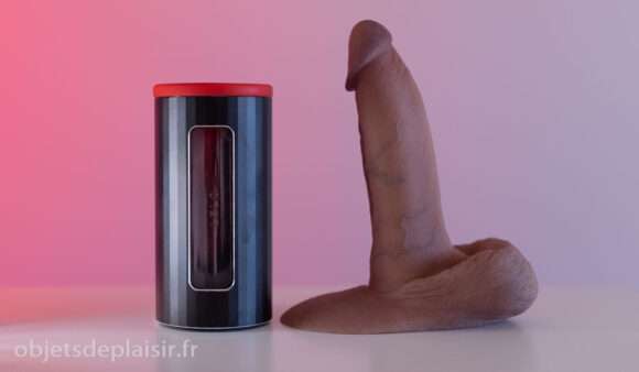 Le Lelo F1s et la RealCock 2 DTF