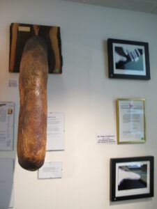 Musée des pénis islandais