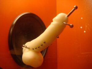 Piercings génitaux - Sex Machines Museum
