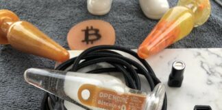 Bitplug : un plug anal doté d'un portefeuille Opendime pour stocker du Bitcoin