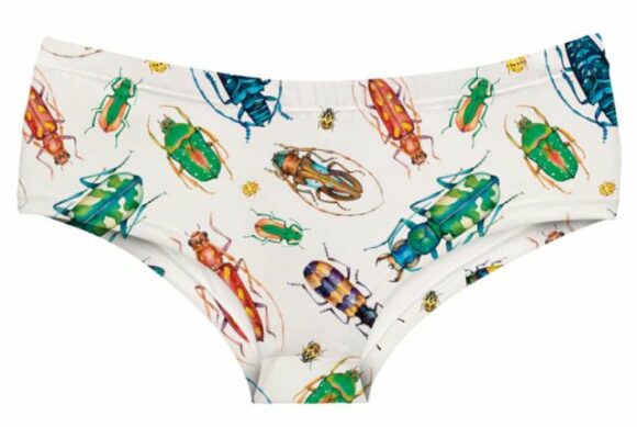 culotte insectes