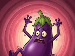 Aubergine coincée dans un rectum