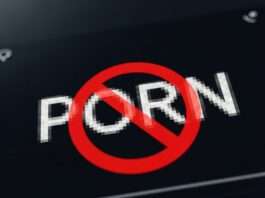 Youporn, RedTube et Pornhub bloqués en France