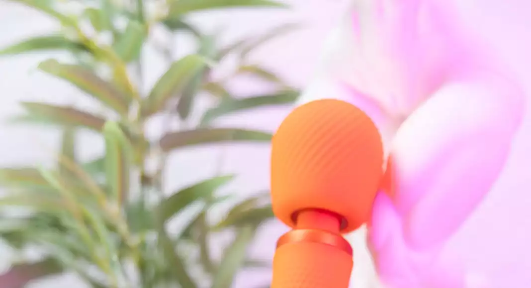 Wand Fun Factory Vim