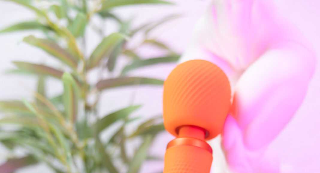 Wand Fun Factory Vim