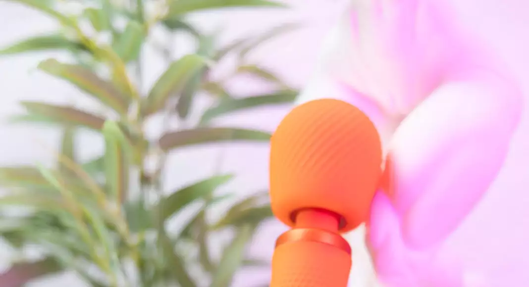 Wand Fun Factory Vim