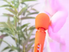 Wand Fun Factory Vim