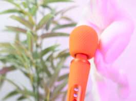 Wand Fun Factory Vim