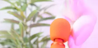 Wand Fun Factory Vim