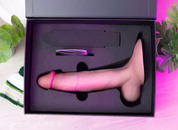 La RealDoll RC2 Max Premium dans son emballage