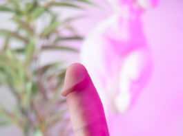 gode RealDoll RC2 Standard