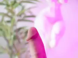 gode RealDoll RC2 Standard