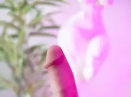 gode RealDoll RC2 Standard