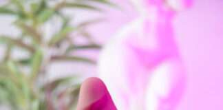 gode RealDoll RC2 Standard