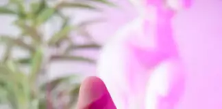 gode RealDoll RC2 Standard