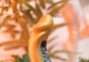 Test du gode Golden Mamba Creature Cocks
