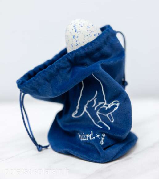 Le Biird Boo dans son étui de rangement