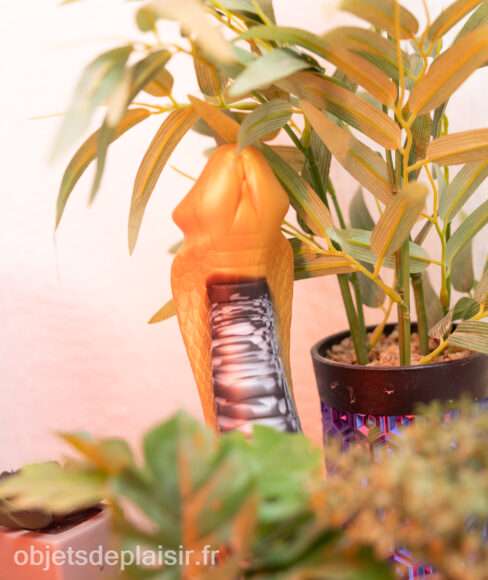 Le Golden Mamba Creature Cocks caché dans les hautes herbes