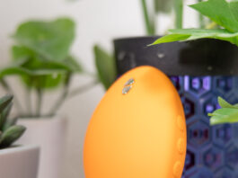 We-Vibe Temp