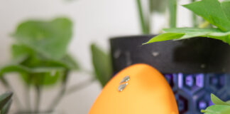 We-Vibe Temp