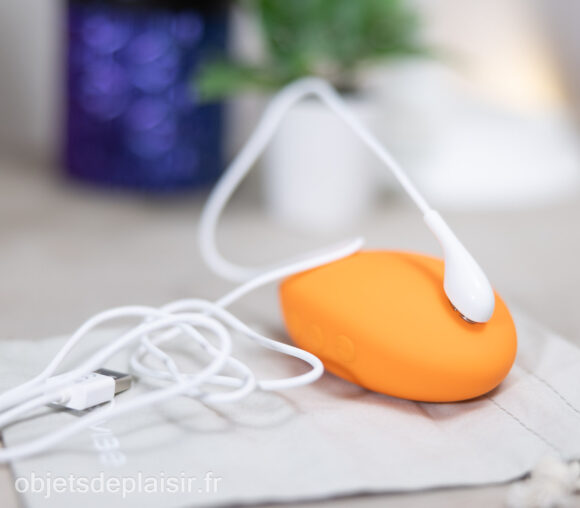 Le We-Vibe Temp et son câble de chargement